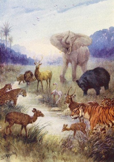 Die Tiere des Feldes von Evelyn Stuart Hardy