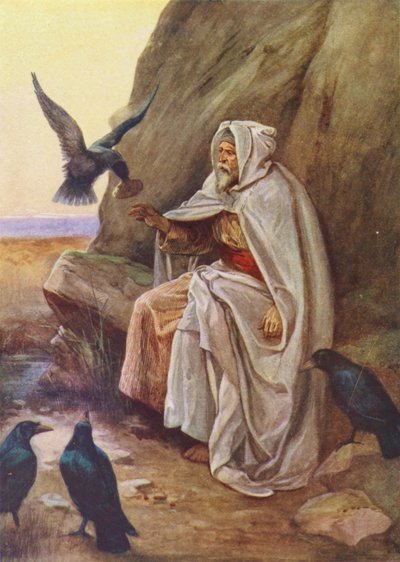 Die Vögel, die ihr Essen teilten von Evelyn Stuart Hardy