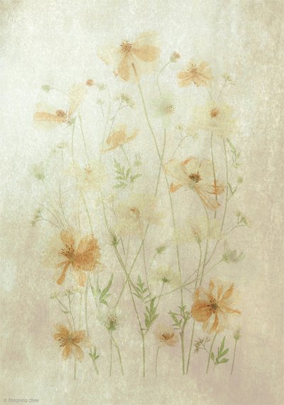 Verblasstes Mohnfeld von Fangping Zhou