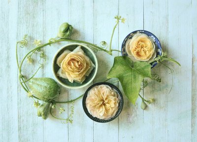 Pastellfarbene Rosen und Kürbisse von Fangping Zhou