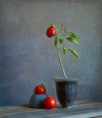 Rote Paprika-Stillleben von Fangping Zhou
