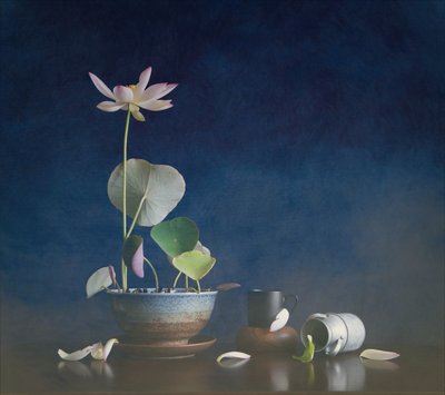 Serenes Lotus-Stillleben von Fangping Zhou