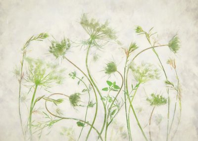 Weiche grüne Botanicals von Fangping Zhou