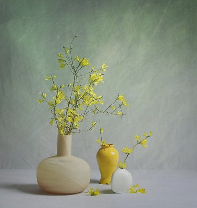 Lebhafte Frühlingsvasen von Fangping Zhou