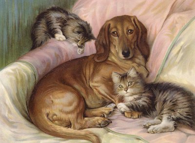 Spielkameraden - Hund und zwei Katzen auf einem Sofa von Fannie Moody