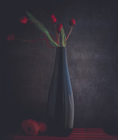 Elegante rote Tulpen von Farid Kazamil