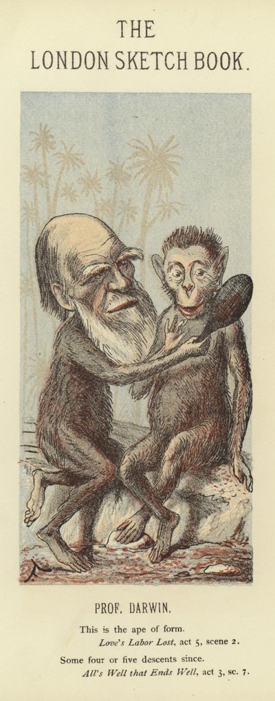 Karikatur von Charles Darwin von Faustin