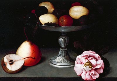 Stand mit Pflaumen, Birnen und einer Rose, ca. 1602, von Fede Galizia (1578-1630) von Fede Galizia