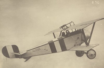 [Profil eines fliegenden Nieuport 17 (Flugzeug)] von Fedele Azari