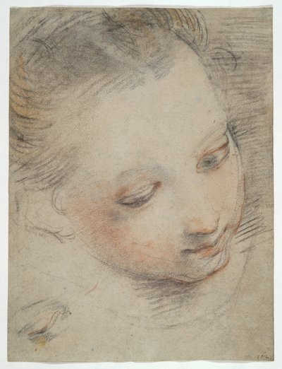 Kopf eines Mädchens, Studie für eine Figur im Altarbild Madonna del Popolo in den Uffizien von Federico Barocci