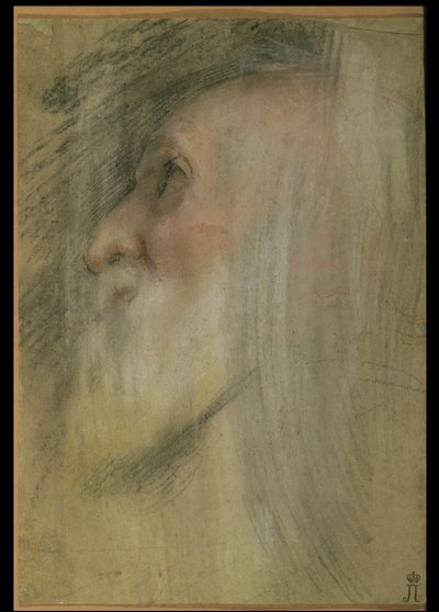 Kopf eines alten Mannes im Profil, ca. 1575-9 von Federico Barocci