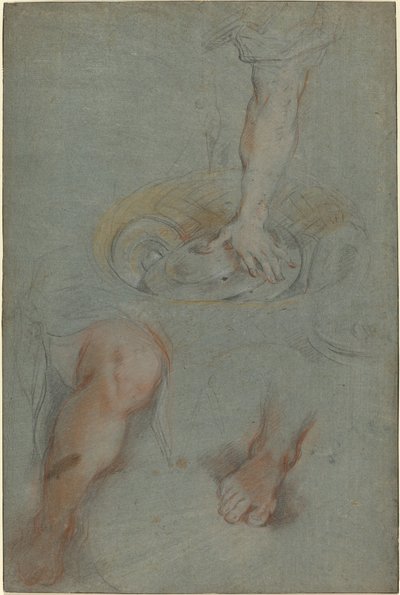 Studien für einen Diener im "Letzten Abendmahl" von Federico Barocci