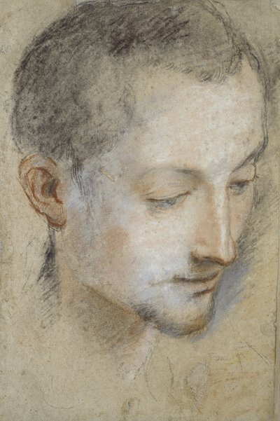 Studie eines jungen Männerkopfes von Federico Barocci