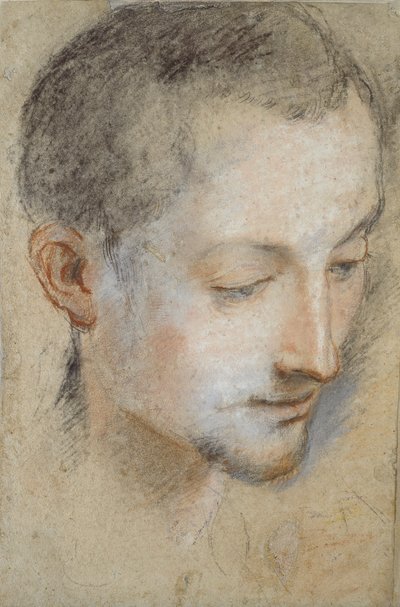 Studie eines jungen Mannes Kopf, spätes 16. Jahrhundert von Federico Barocci