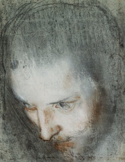 Kopf des Heiligen Franziskus, nach oben links blickend von Federico Fiori Barocci or Baroccio