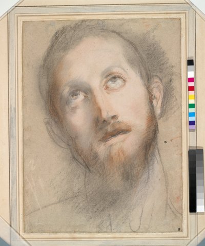 Studie für den Kopf Christi von Federico Fiori Barocci or Baroccio
