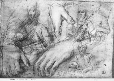 Studie von Händen für ein Porträt von Ippolito della Rovere von Federico Fiori Barocci or Baroccio