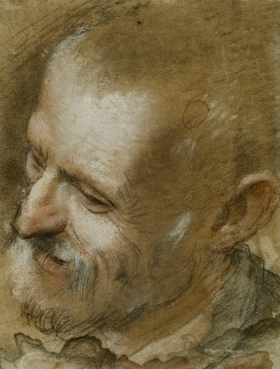 Studie des Kopfes eines bärtigen Mannes, nach links gedreht, 1590 von Federico Fiori Barocci or Baroccio