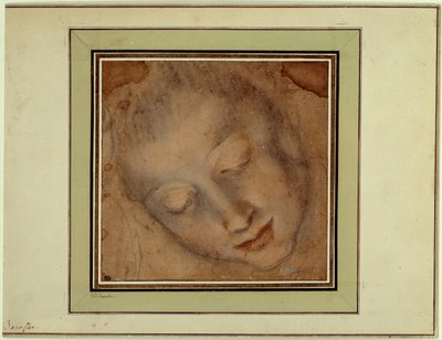 Frauenkopf mit festen Augen von Federico Fiori Barocci or Baroccio
