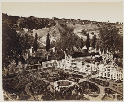 Garten von Gethsemane #303 von Félix Bonfils