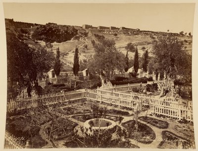 Garten von Gethsemane von Félix Bonfils