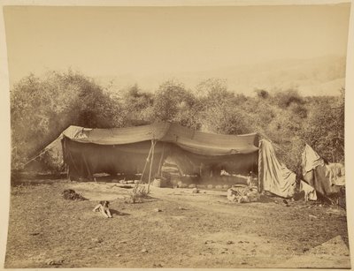 Zelt von nomadischen Beduinen, Palästina von Félix Bonfils