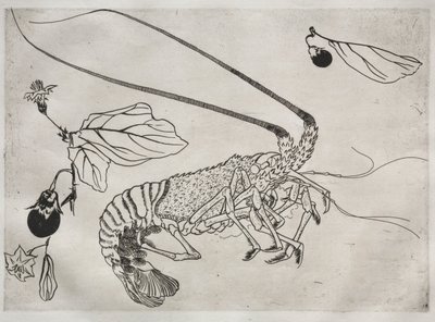Großer Hummer mit erhobenen Antennen Nr. 21, 1866 von Felix Bracquemond