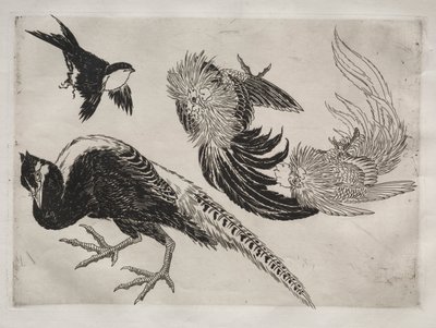 Tafelservice Rousseau: Fasane und Vogel Nr. 18, 1866 von Felix Bracquemond