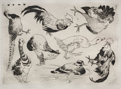 Tafelservice Rousseau: Hähne, Enten usw. Nr. 13, 1866 von Felix Bracquemond