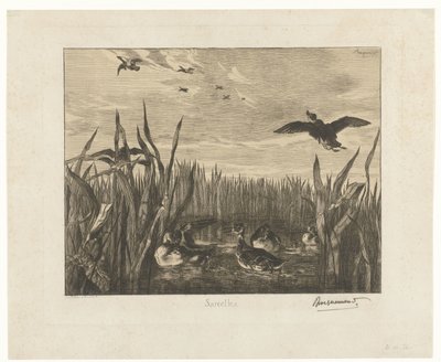 Landschaft mit Enten im Wasser zwischen Schilf von Felix Bracquemond