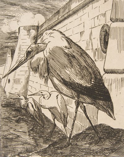 Die Störche von Felix Bracquemond