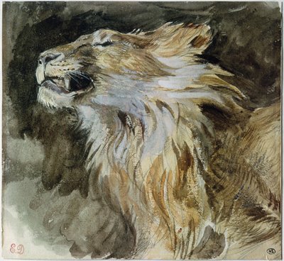 Der Kopf eines Löwen von Ferdinand Victor Eugene Delacroix
