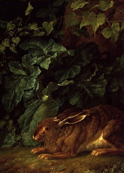 Ein Hase im Unterholz von Filippo Hackert