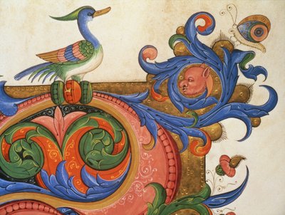 Missale 515 f.92v Zoomorphe Blätter mit vogelähnlichem Vogel und Schmetterling, Detail (Initiale) aus einem Chorbuch von Filippo di Matteo Torelli
