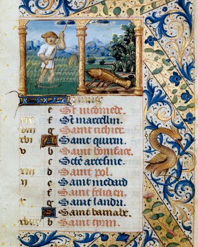 Kalender, Juni, ein Bauer mäht und das Zeichen des Krebses. Seite aus einem Stundenbuch ms. 47, illuminiert von der flämischen Schule. 16. Jahrhundert Badia de 