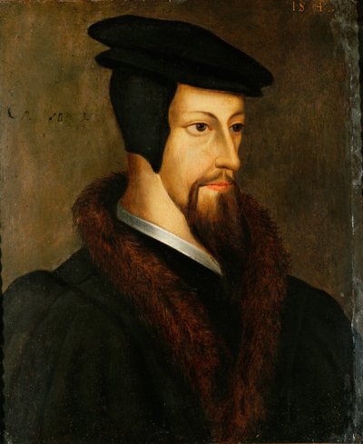Jean Calvin als junger Mann von Flemish School
