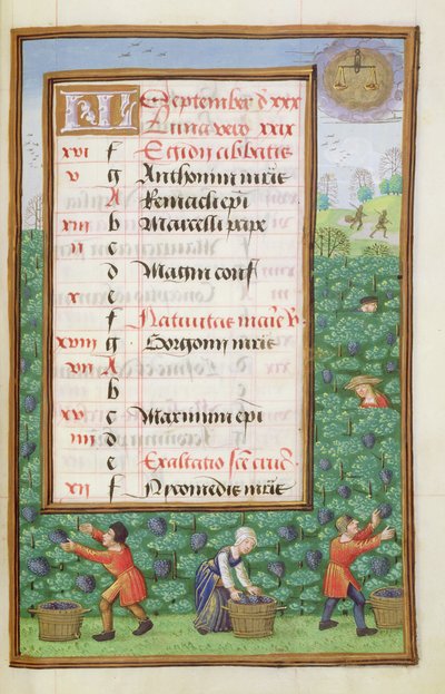 Ms 1058-1975 f9r Trauben ernten, illuminierte Kalenderseite für September, aus einem Stundenbuch, ca. 1500 von Flemish School