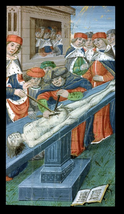 Dissektion, aus De Medina Fen I. II, von Avicenna (980-1037) von Flemish School