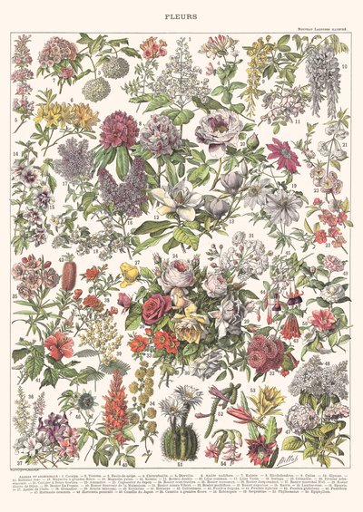Blumen II - ASTER EDITION, 2023 von Florent Bodart