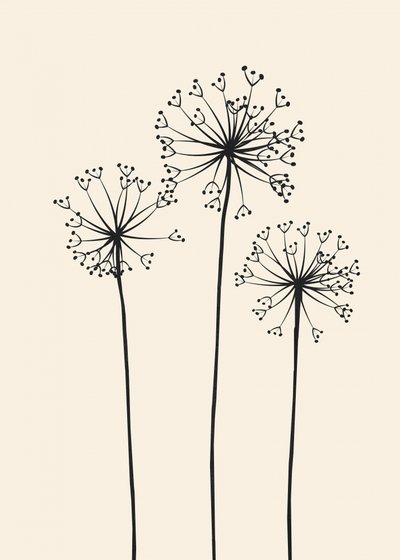 Minimalistische Löwenzahnblüten von Flow Line
