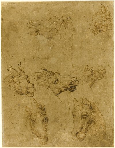 Köpfe von Pferden und Einhörnern von Follower of Leonardo da Vinci