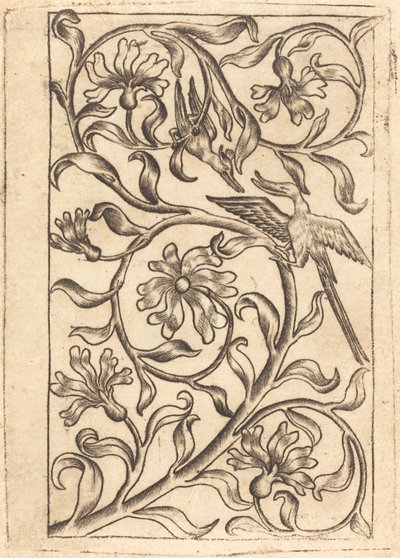Weinreben-Ornament mit zwei Vögeln von Follower of Master of the Playing Cards