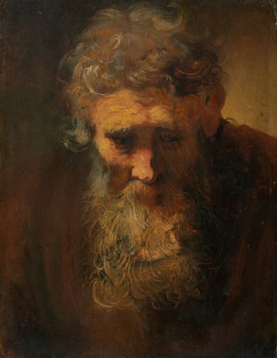 Studie eines alten Mannes von Follower of Rembrandt van Rijn