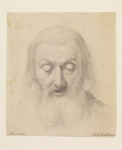 Wycliffe liest seine Bibelübersetzung - Studie für den Kopf von Wycliffe von Ford Madox Brown