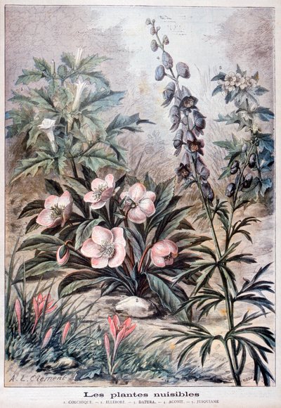 Schädliche Pflanzen, 1897 von Fortuné Méaulle