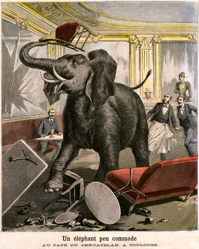 Ein unbequemer Elefant: Der Dickhäuter entkommt aus einer Zirkusmenagerie und zerstört alles im Café von Pre-Catelan in Toulouse. Gravur von Meaulle und Meyer auf der letzten Seite des PETIT JOURNAL Beilagenhefts Nr. 51 vom 14. November von Fortune Louis and Meyer Henri  Meaulle