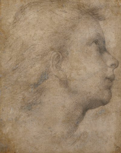 Kopf eines Engels im Profil, nach rechts blickend von Fra Bartolomeo