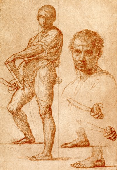 Studie zu St. Bartholomäus von Fra Bartolomeo