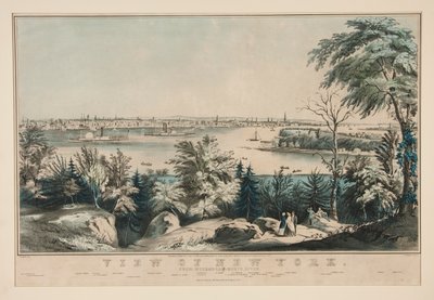 Ansicht von New York vom Weehawken-Nordfluss von Frances Flora Bond Palmer