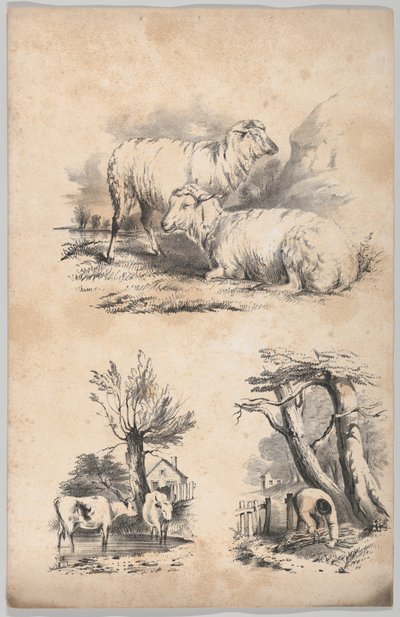 Vignette mit zwei Schafen, Vignette mit zwei Kühen in einem Teich und Vignette eines Holzsammlers, 1847 von Frances Flora Bond Palmer